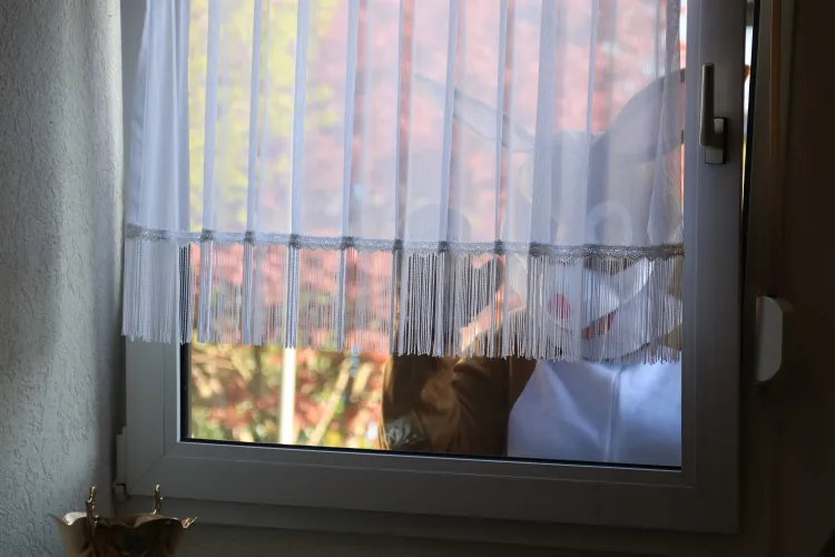 Der Osterhase schaut zum Fenster rein