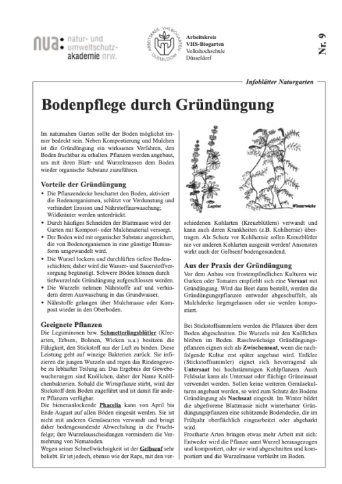 Deckblatt des Infoblattes