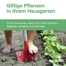 Giftpflanzen im Kleingarten