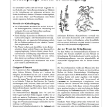 Warum sich Gründüngung im Garten lohnt