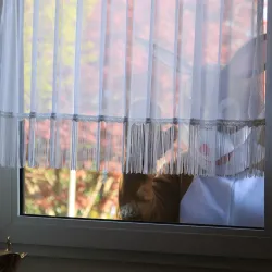 Der Osterhase schaut zum Fenster rein